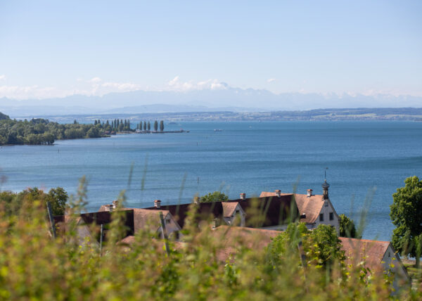 Der Bodensee