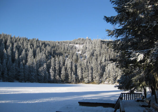 Der Schwarzwald im Winter
