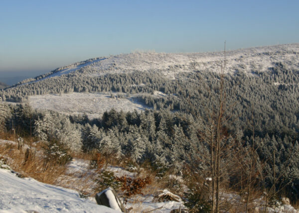 Die Schwarzwald Hochstraße