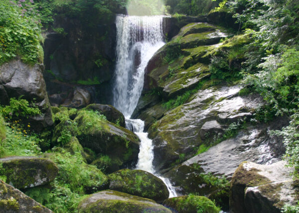 Die Triberger Wasserfälle